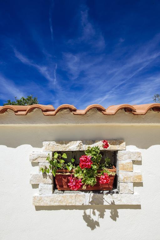 Olive House Zadar Villa Екстериор снимка